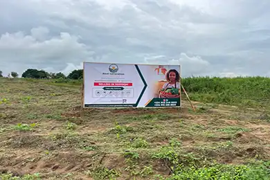 next generation farm city